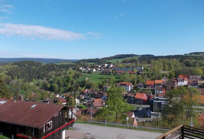 اتاق استاندارد با چشم‌انداز کوهستان, Berghotel Glockenberg