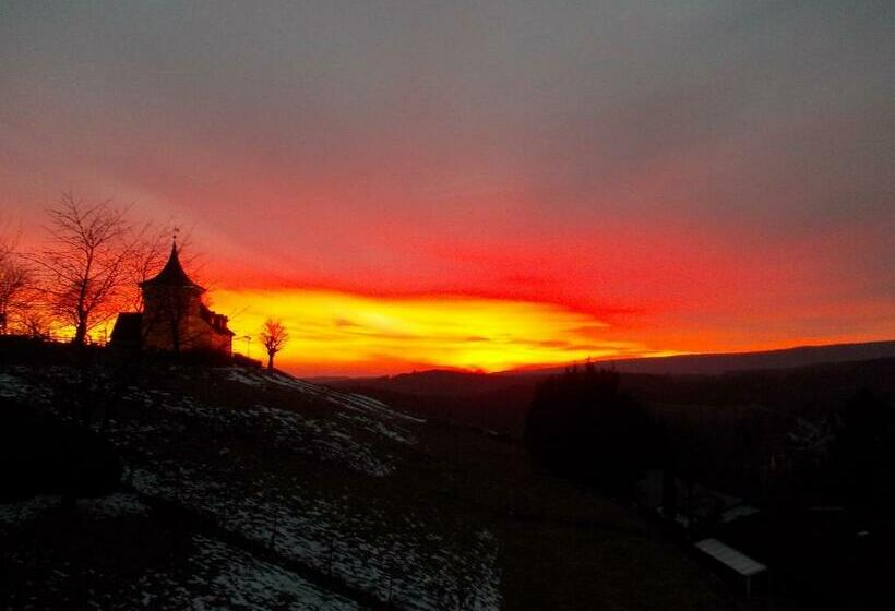 اتاق استاندارد با چشم‌انداز کوهستان, Berghotel Glockenberg
