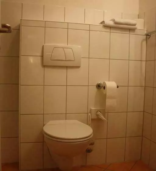 Standard Yhden Hengen Huone, Cross Country Hotel Hirsch