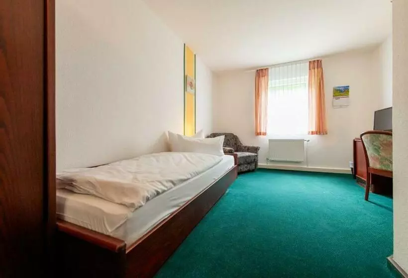 Habitación Estàndard Individual, Asterra