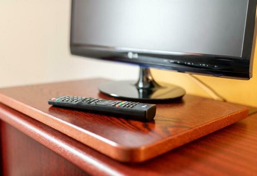 Номер Стандарт Индивидуальный, Asterra