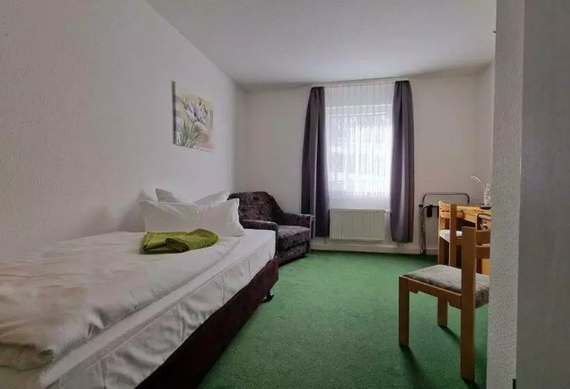 Habitación Estàndard Individual, Asterra