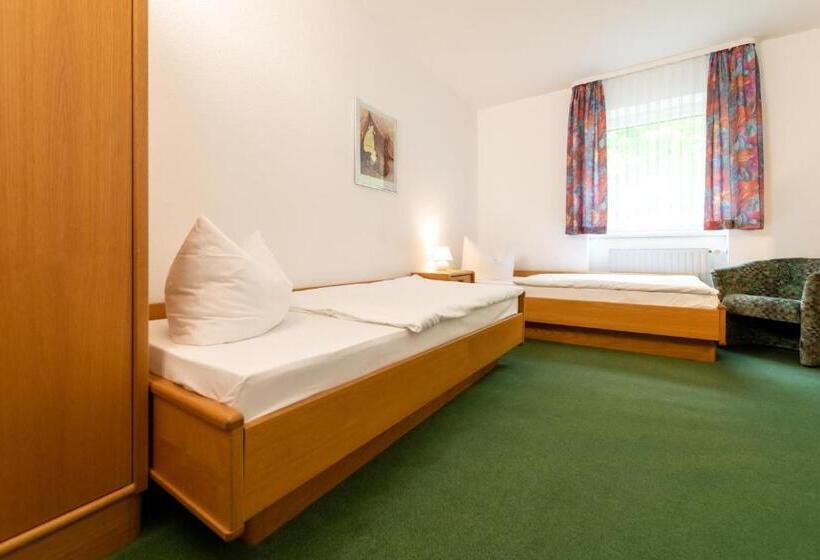 스탠다드 룸, Asterra