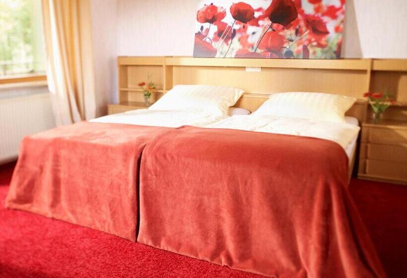 标准间, Berghotel Wintersberg