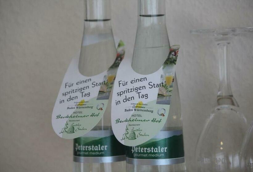 Номер Стандарт Индивидуальный, Berkheimer Hof