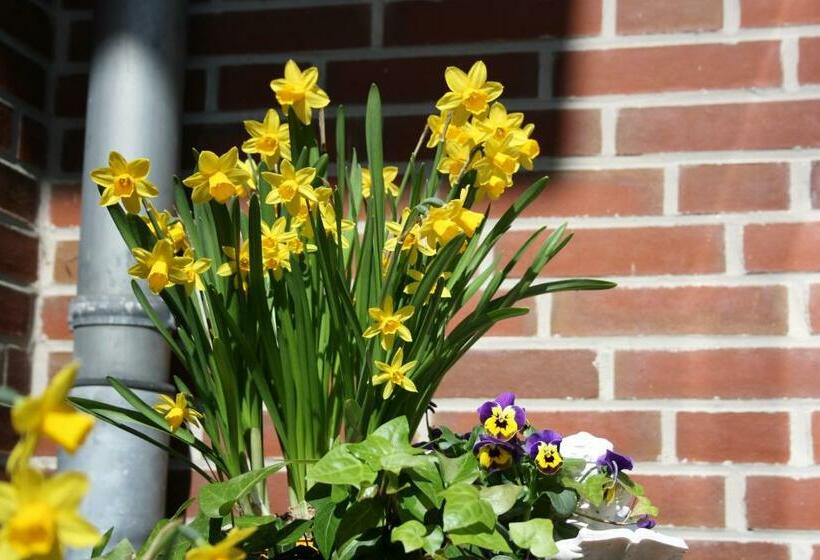 标准单人间, Haus Hubertus