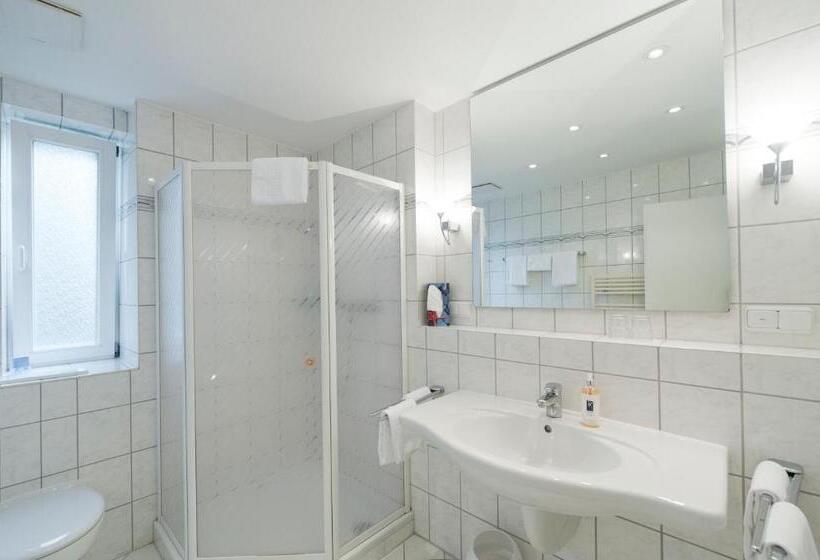 スタンダードトリプルルーム, Pension Vitalis