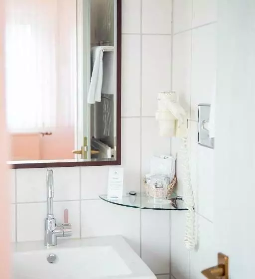 Standard Single Room, Restaurant Zum Schwanen