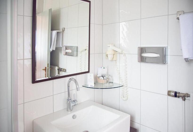 エコノミーシングルルーム, Restaurant Zum Schwanen