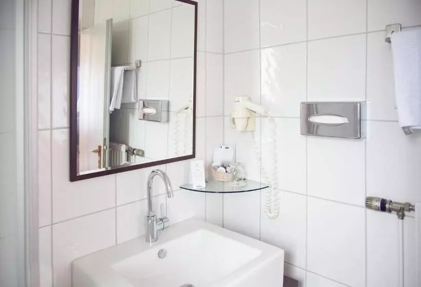 Economy Single Room, Restaurant Zum Schwanen