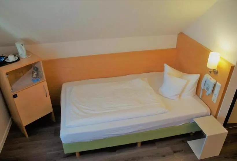 Economy Single Room, Restaurant Zum Schwanen
