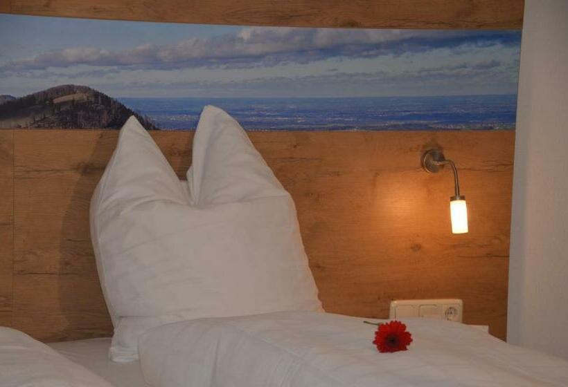 חדר סטנדרט יחיד, Seiserhof & Seiseralm