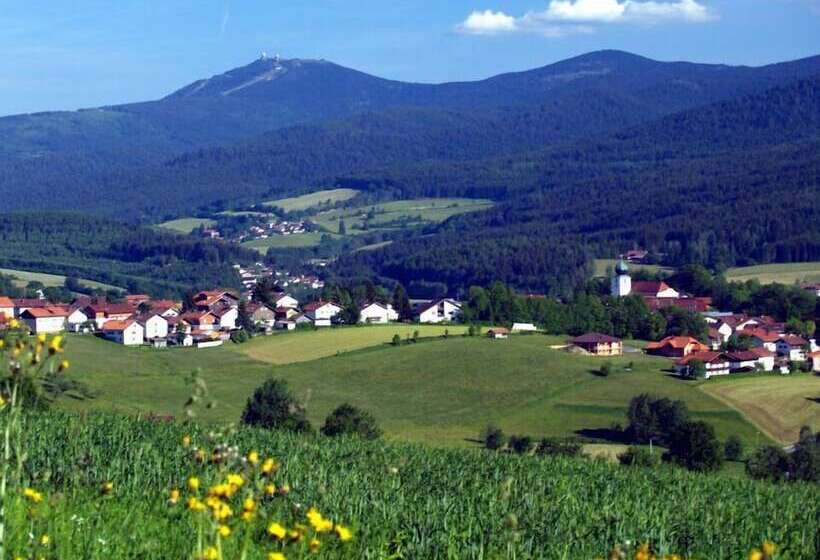 חדר סטנדרט יחיד, Sonnbichl