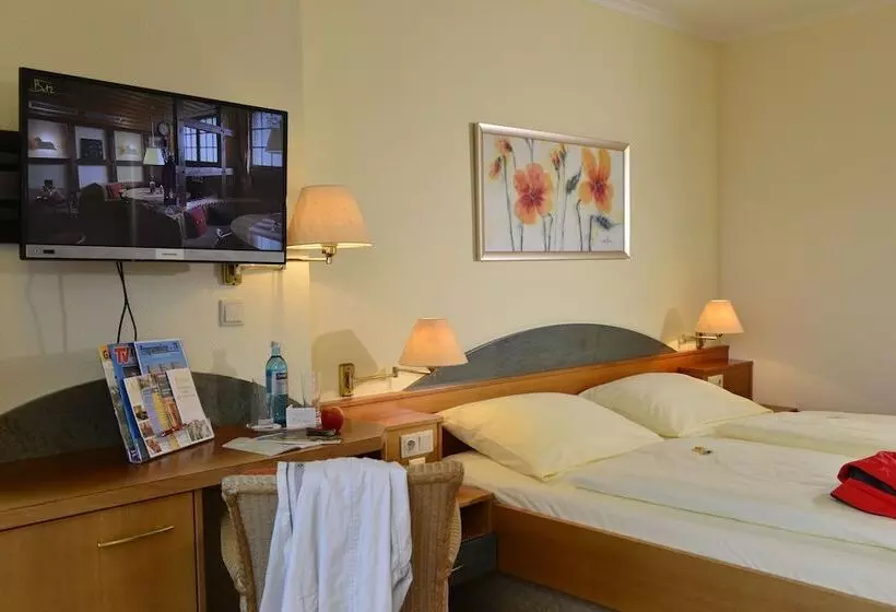 اتاق استاندارد با چشم‌انداز, Trip Inn Landhotel Badsoden Salmünster