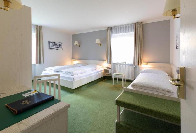 Номер Стандарт Трехместный, Landhotel Huberhof