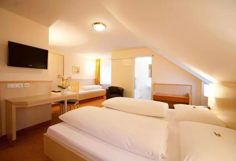 اتاق استاندارد چهار تخته, Landhotel Huberhof