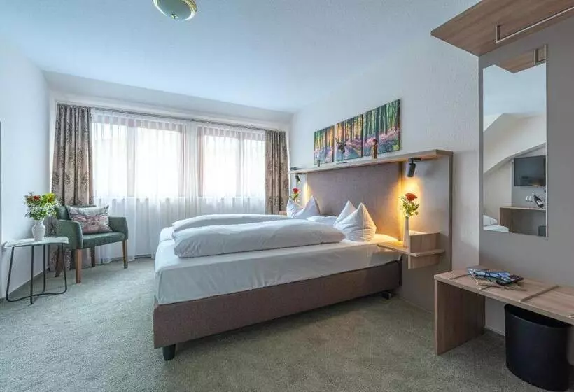 اتاق استاندارد, Landhotel Salmen