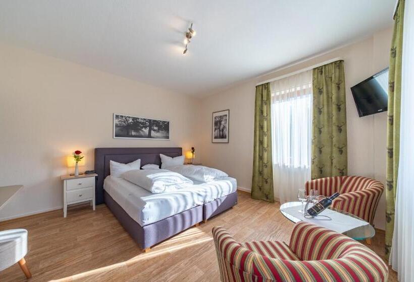 Номер Премиум, Landhotel Salmen