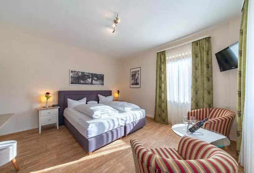 اتاق پرمیوم, Landhotel Salmen