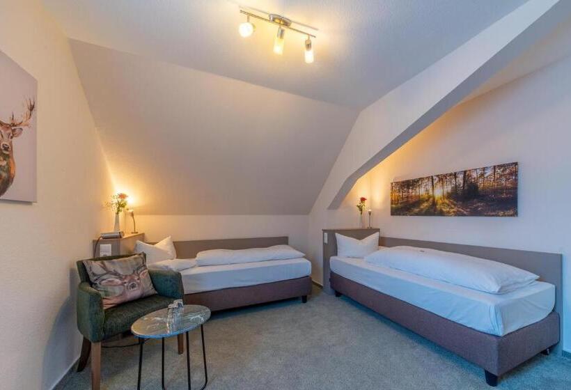 Семейный Номер, Landhotel Salmen