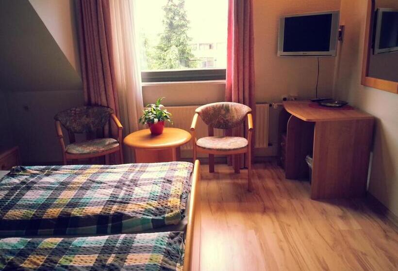 Номер Стандарт, Naturkost Hotel Harz