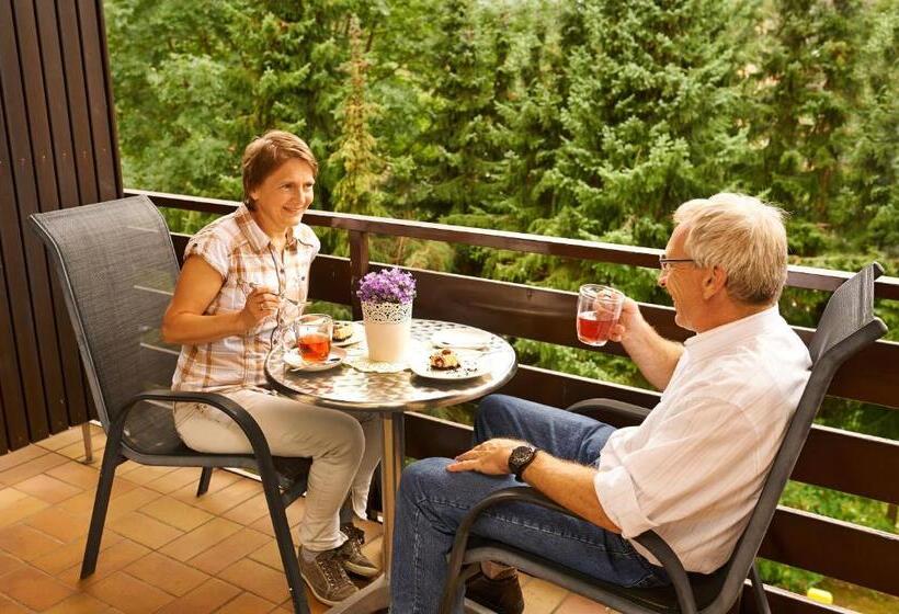 Трехместный Номер Стандарт с Балконом, Naturkost Hotel Harz