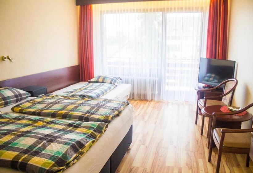 غرفة قياسية ثلاثية, Naturkost Hotel Harz