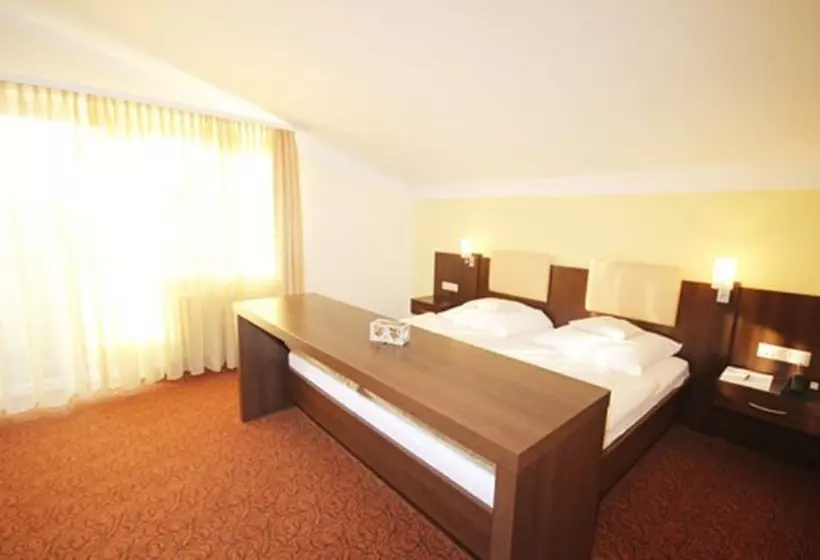 اتاق استاندارد با چشم‌انداز, Almhotel Pinter Superior