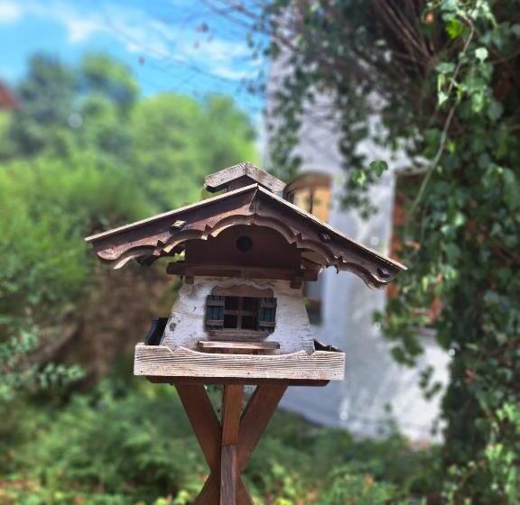 Апартаменты 1 Спальня, Appartementhaus Meier