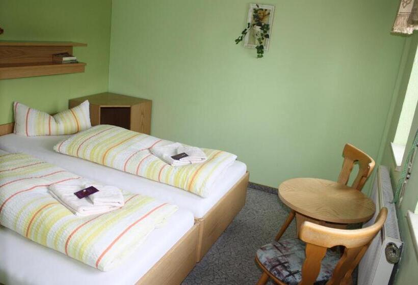 Апартаменты 1 Спальня, Wellness Hotel Pension & Gaststätte Riedel