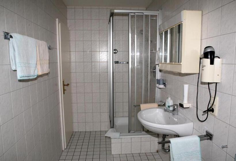 Standard Yhden Hengen Huone, Alpenrose