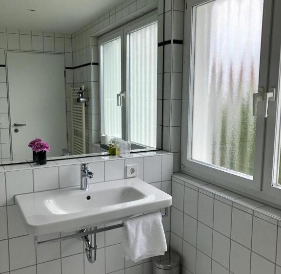 Номер Стандарт, Am Park