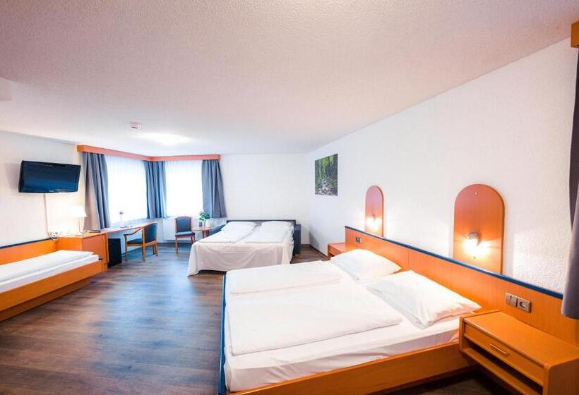 غرفة قياسية, Am Park