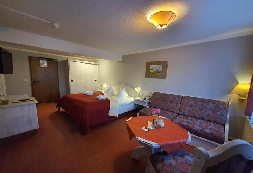 스탠다드 룸, Zur Goldenen Sonne