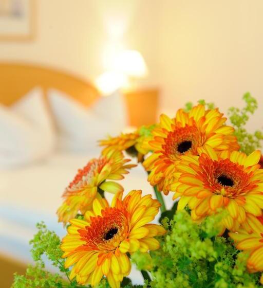 标准单人间, Johannesbad Hotel Königshof