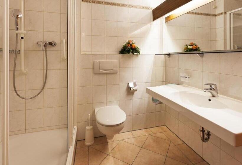 스탠다드 싱글 룸, Seniorenresidenz Parkwohnstift Bad Kissingen