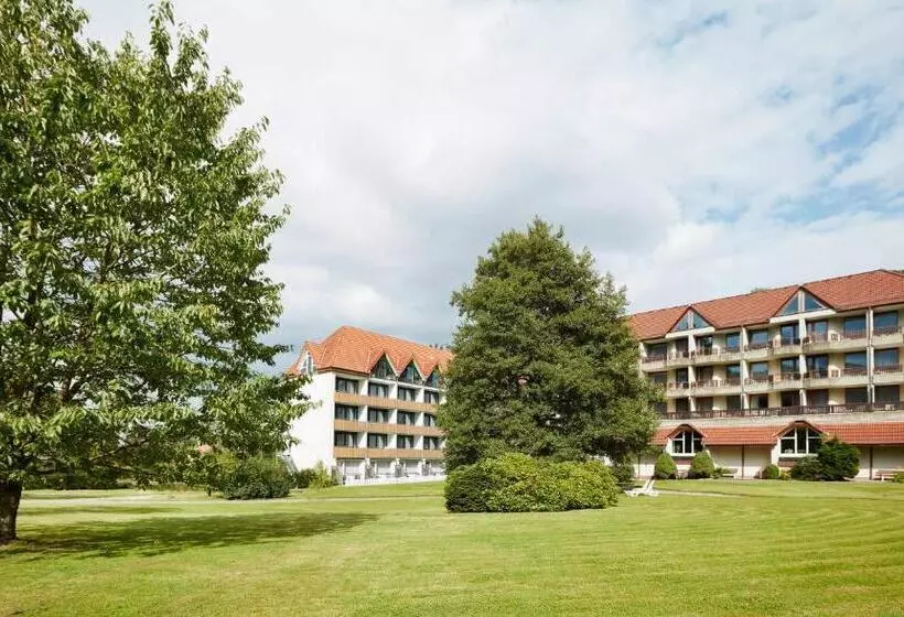 スタンダードシングルルーム, Waldhotel Bärenstein