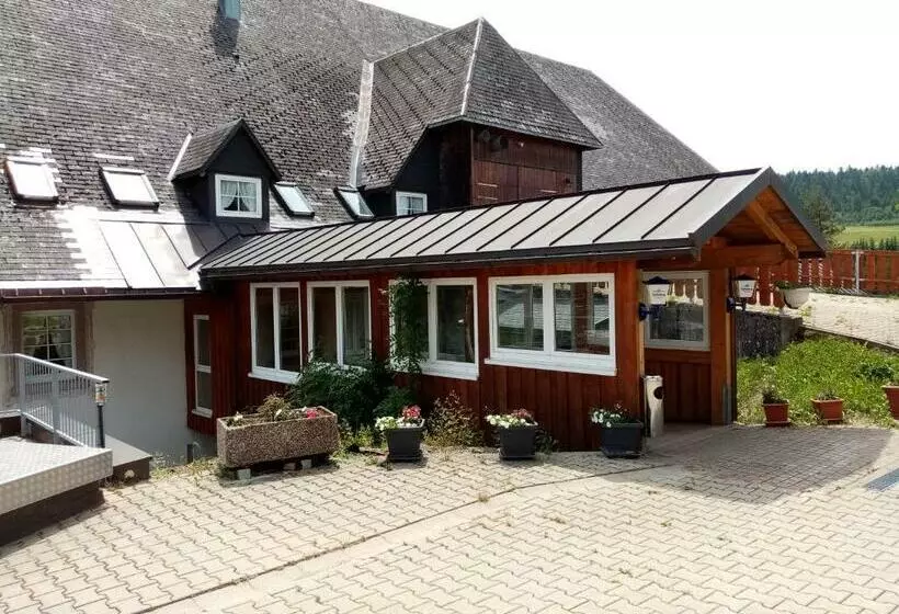 スタンダードシングルルーム, Zur Traube Schwarzwaldhotel & Restaurant Am Titisee