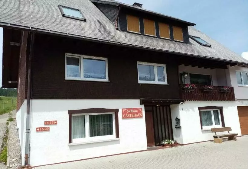 スタンダードシングルルーム, Zur Traube Schwarzwaldhotel & Restaurant Am Titisee