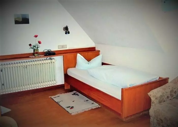 スタンダードシングルルーム, Zur Traube Schwarzwaldhotel & Restaurant Am Titisee