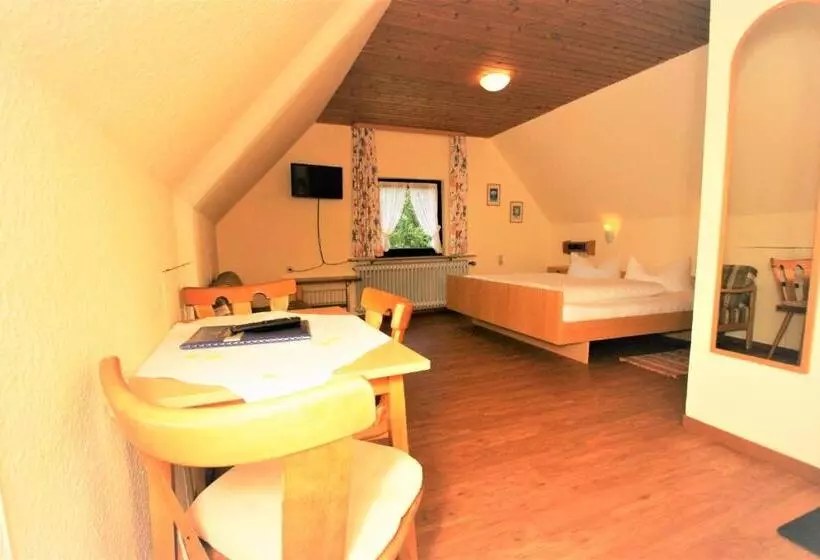 スタンダードルーム, Zur Traube Schwarzwaldhotel & Restaurant Am Titisee