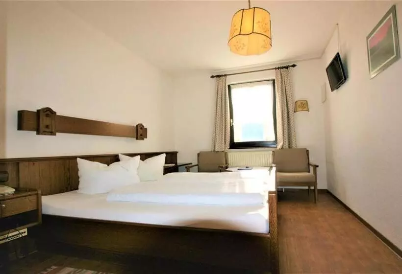 スタンダードルーム, Zur Traube Schwarzwaldhotel & Restaurant Am Titisee
