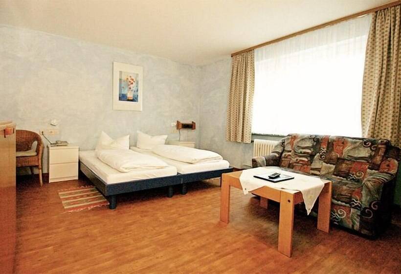 Номер Стандарт, Zur Traube Schwarzwaldhotel & Restaurant Am Titisee