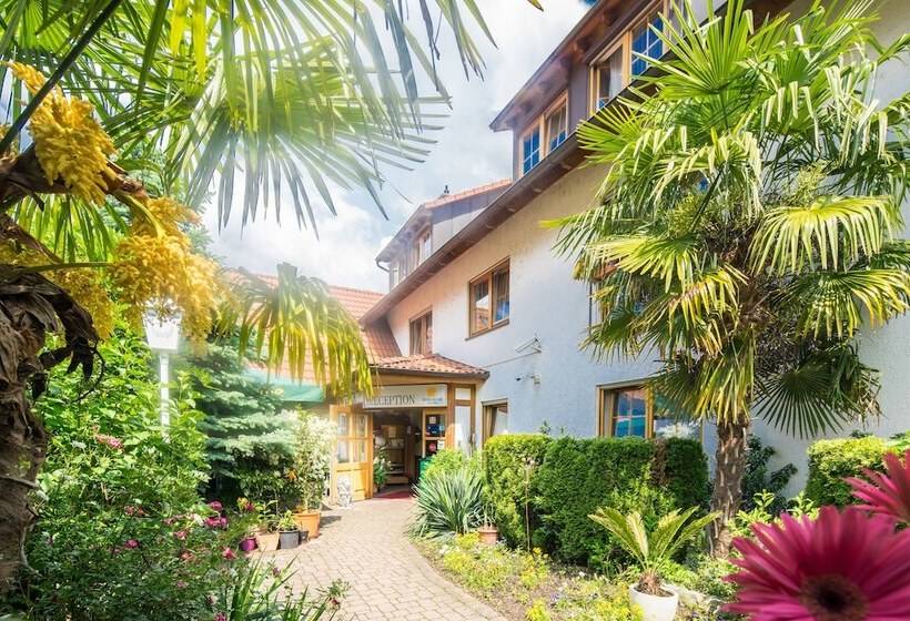 חדר סטנדרט, Blume