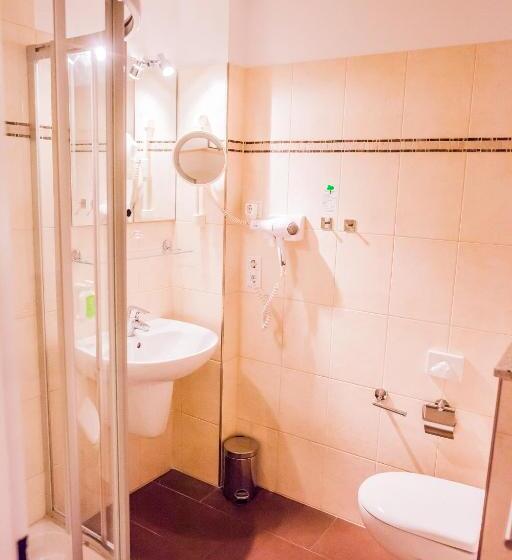 اتاق استاندارد یک نفره, Martinihof