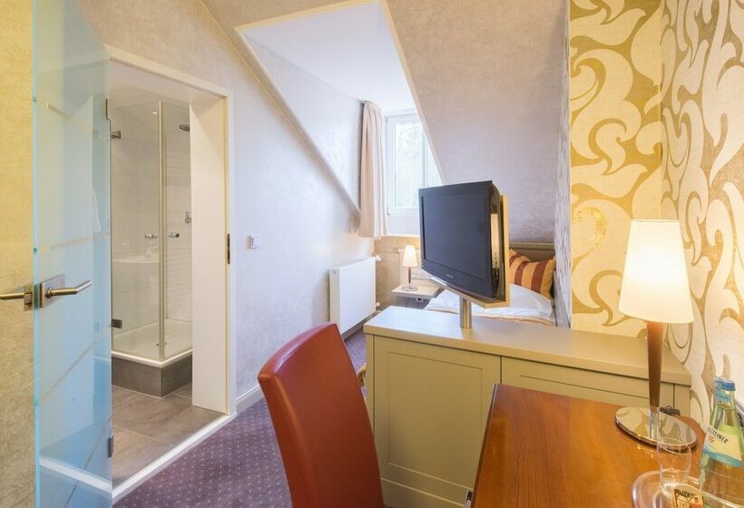 חדר סטנדרט יחיד, Parkhotel Güldene Berge