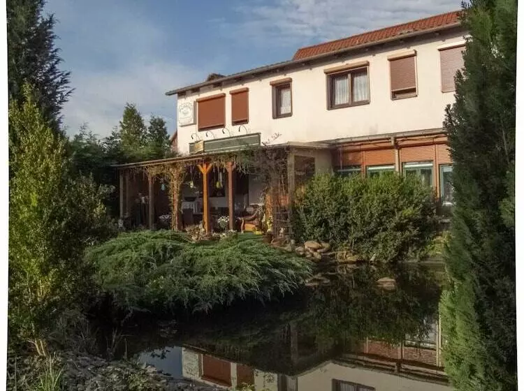 Standard Yhden Hengen Huone, Pension Zum Schwanenteich