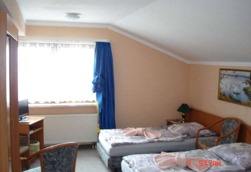 스탠다드 룸, Pension Zum Schwanenteich