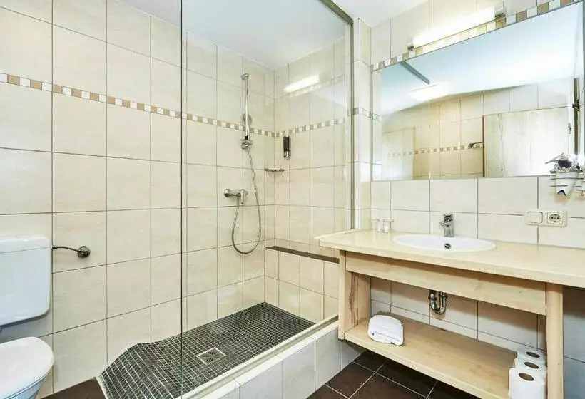 اتاق استاندارد یک نفره, Rupertihof