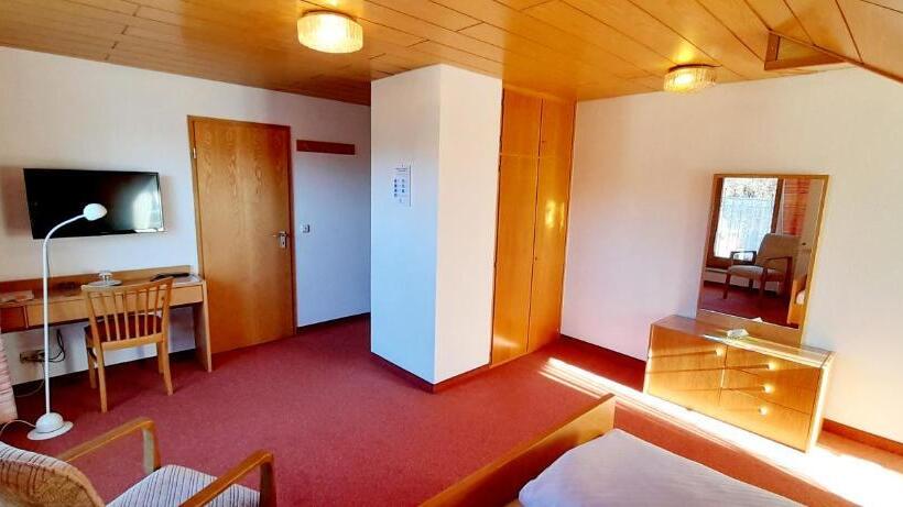 חדר סטנדרט יחיד, Seemüller